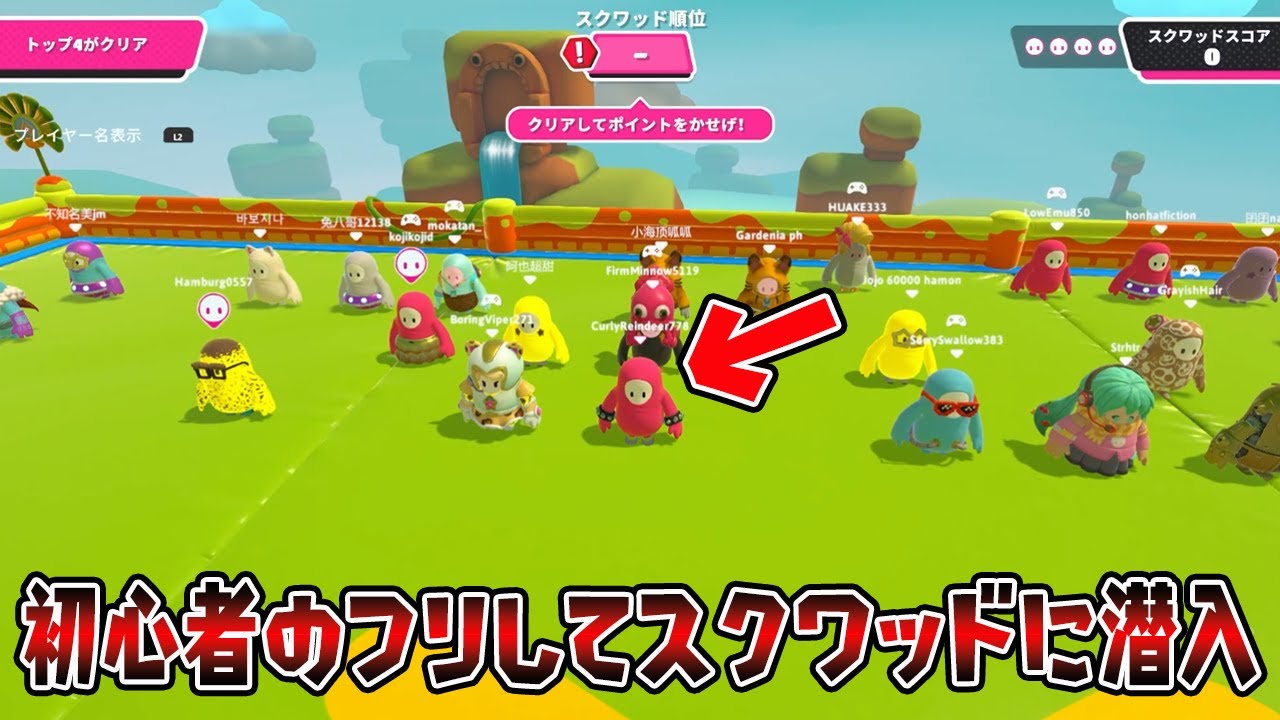 初心者のフリしてスクワッドに潜入してみたｗ【フォールガイズ/Fall Guys】