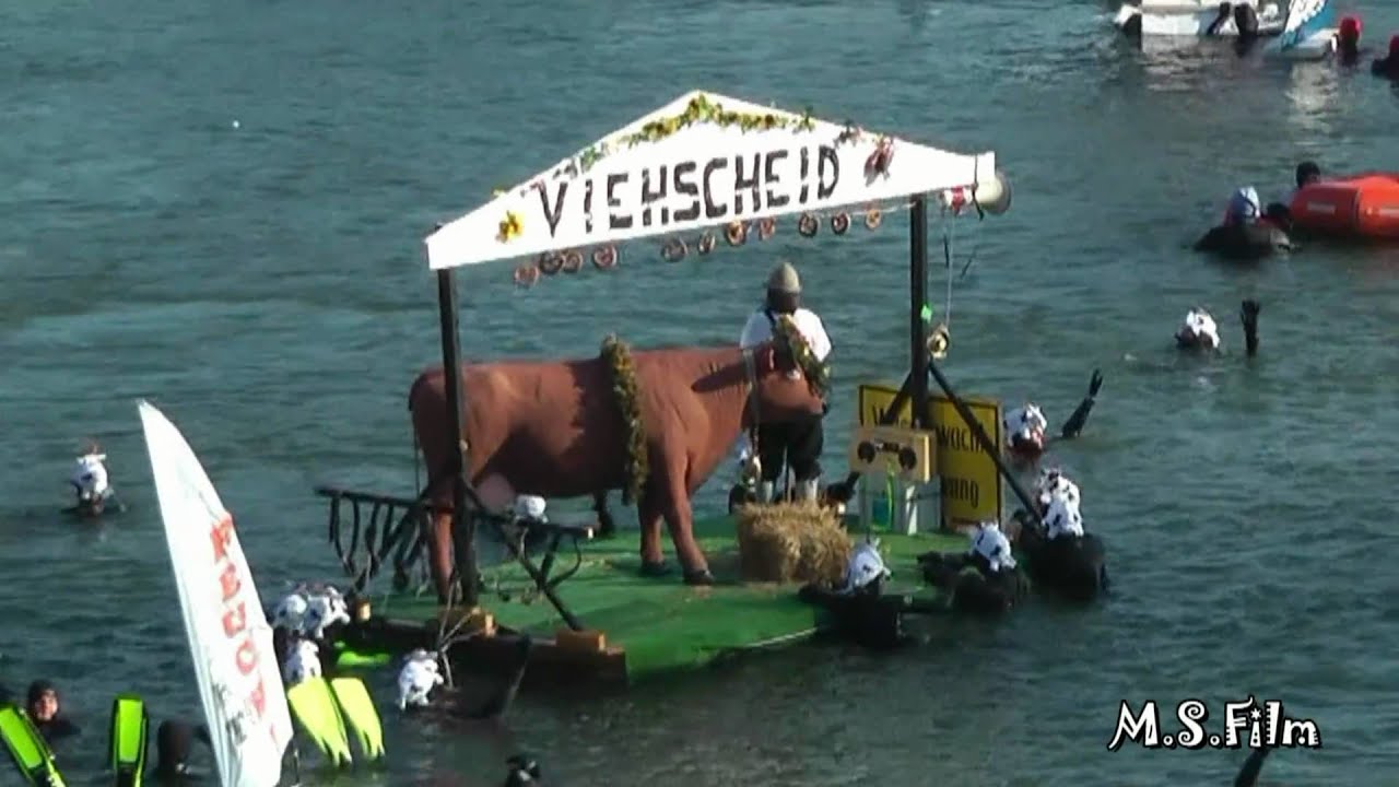 Neuburg`er Donauschwimmen mit Faschingszug in der Donau 29.Jan.11