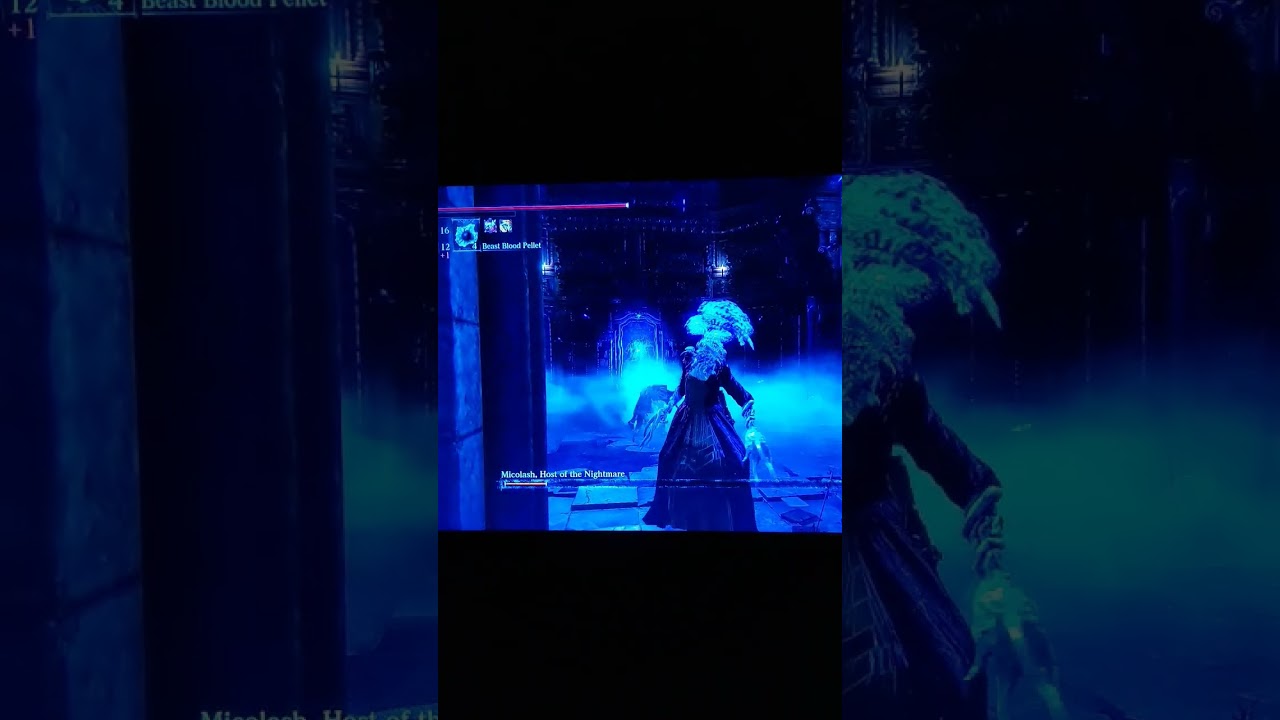 bloodborne - Micholash vs. Princess Cauliflower