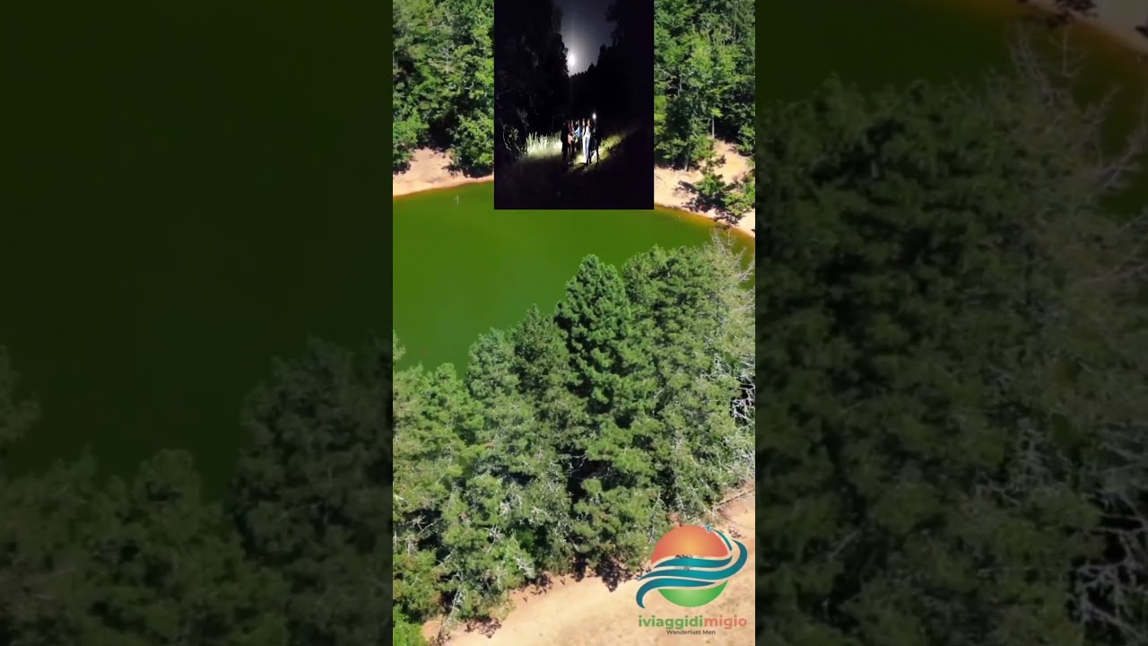 Un Viaggio Epico Nella Misteriosa Foresta Umbra - Avventure Senza Fine! Parte 2 #viaggio #puglia