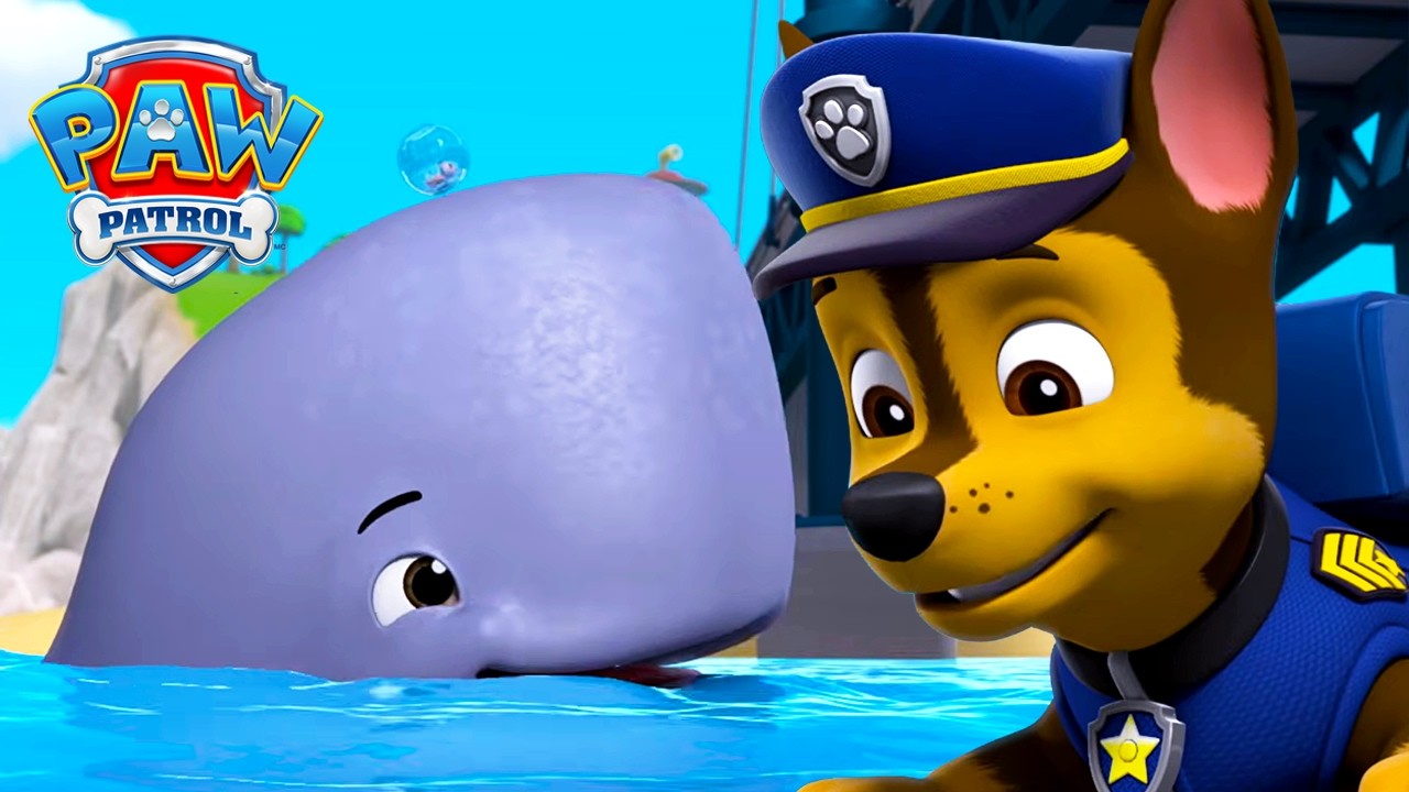 Hámster em Fuga! 🐹 PAW Patrol ao Resgate | Patrulha Pata | PAW Patrol | Compilação