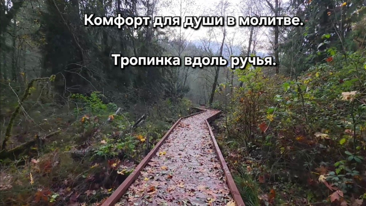 Тропинка вдоль ручья. Что делает молитву сладостной?