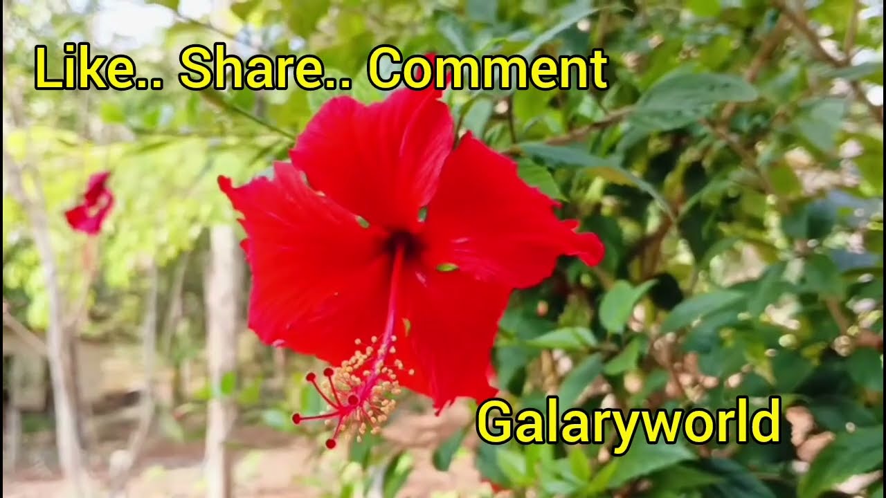 ശാലിനിയുടെ വിശ്വാസം.. അച്ഛന്റെ അവസ്ഥ.. ഇനി ഓരോന്നായി പരിഹാരം..  || Episode 1411 || || 28-02-2026 || 