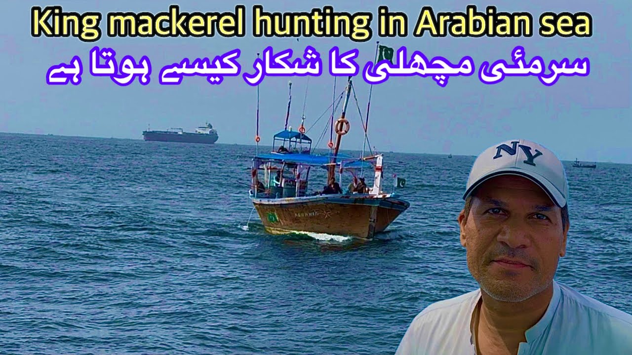 King Mackerel fish hunting in terrible sea  HINDI  / URDU