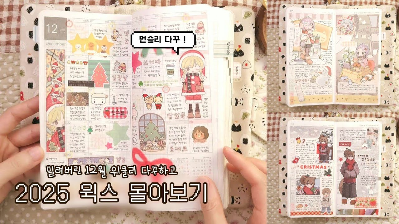 3주치 위클리 다꾸하고 잔뜩 부풀어버린 윅스 함께 구경해요! | 테트라포트멜론티, 낮의온도, 마법사고양상점