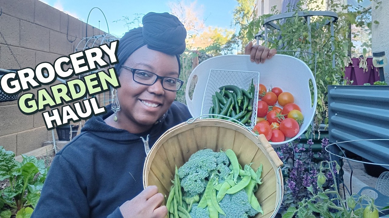 Grocery Garden Haul