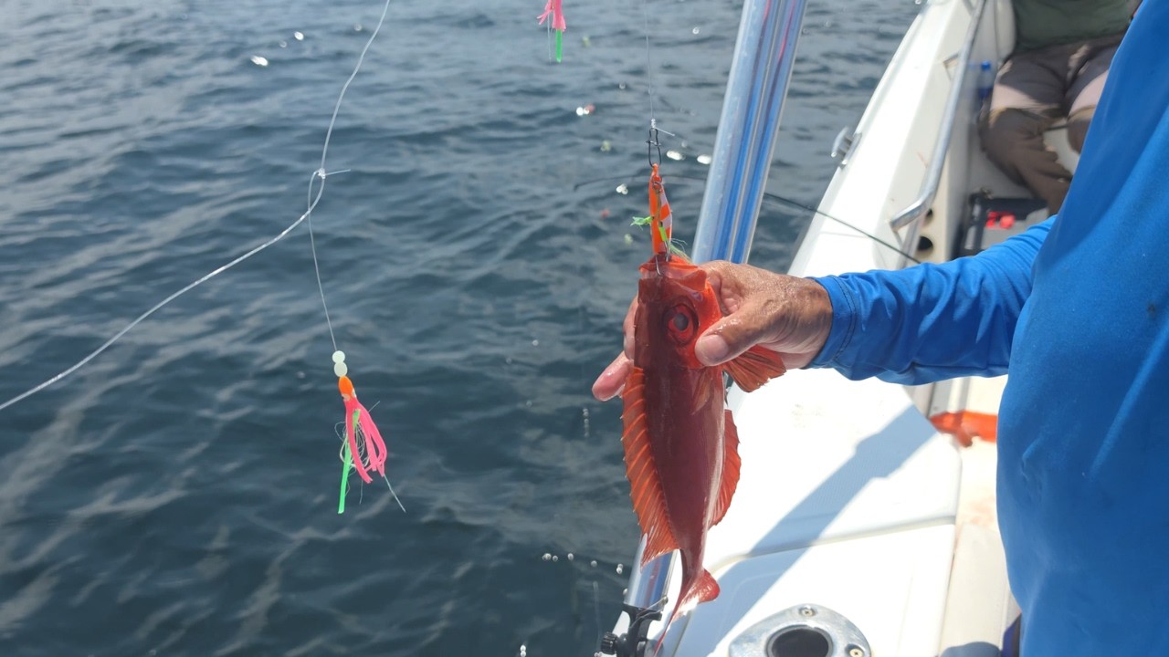 PESCA NO MAR #003 - OLHO DE CÃO, PAMPO, PESCA COM SABIKI E MUITA RESENHA