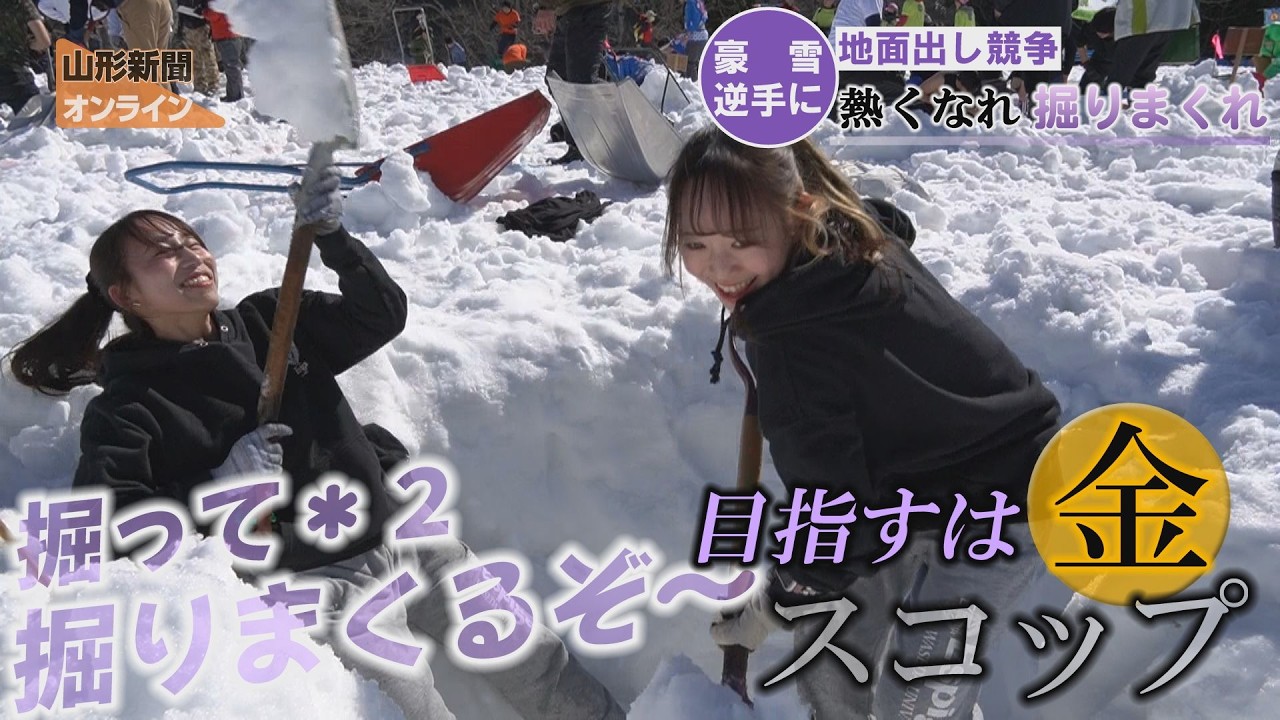 豪雪逆手に地面出し競争、熱くなれ掘りまくれ　大蔵村・肘折