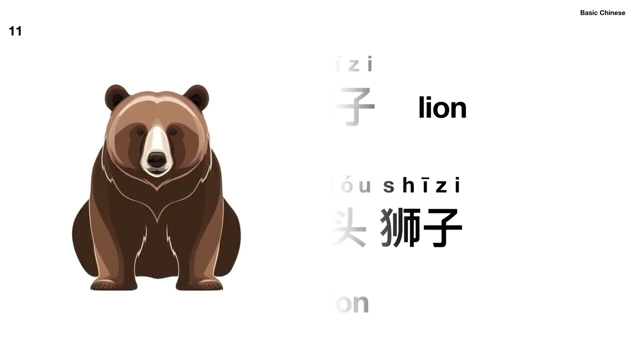 Measure Words for Animals 动物及其量词：只 头 条 匹@竹子中文