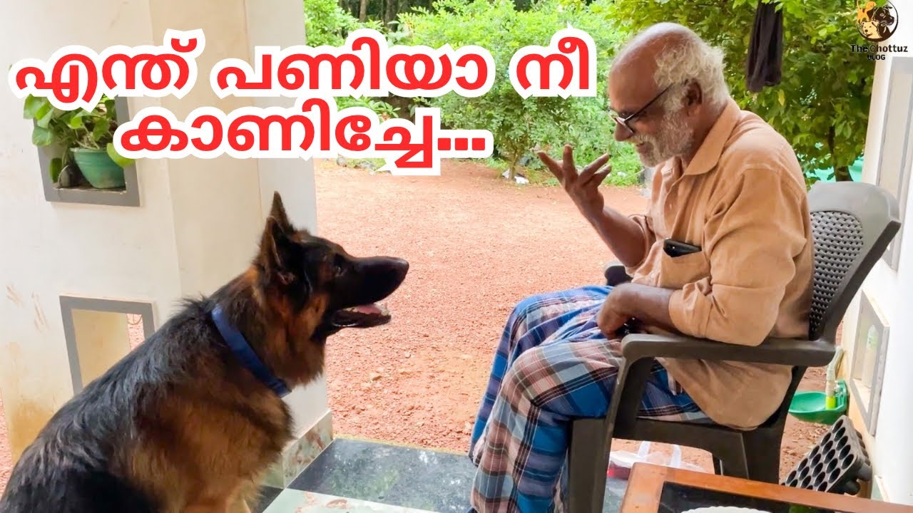 ഇതൊക്കെ ശ്രെദ്ധിക്കണ്ടേ അച്ഛാ....😂|Leo കലിപ്പ് 😂|LeoLaika |Chottuz