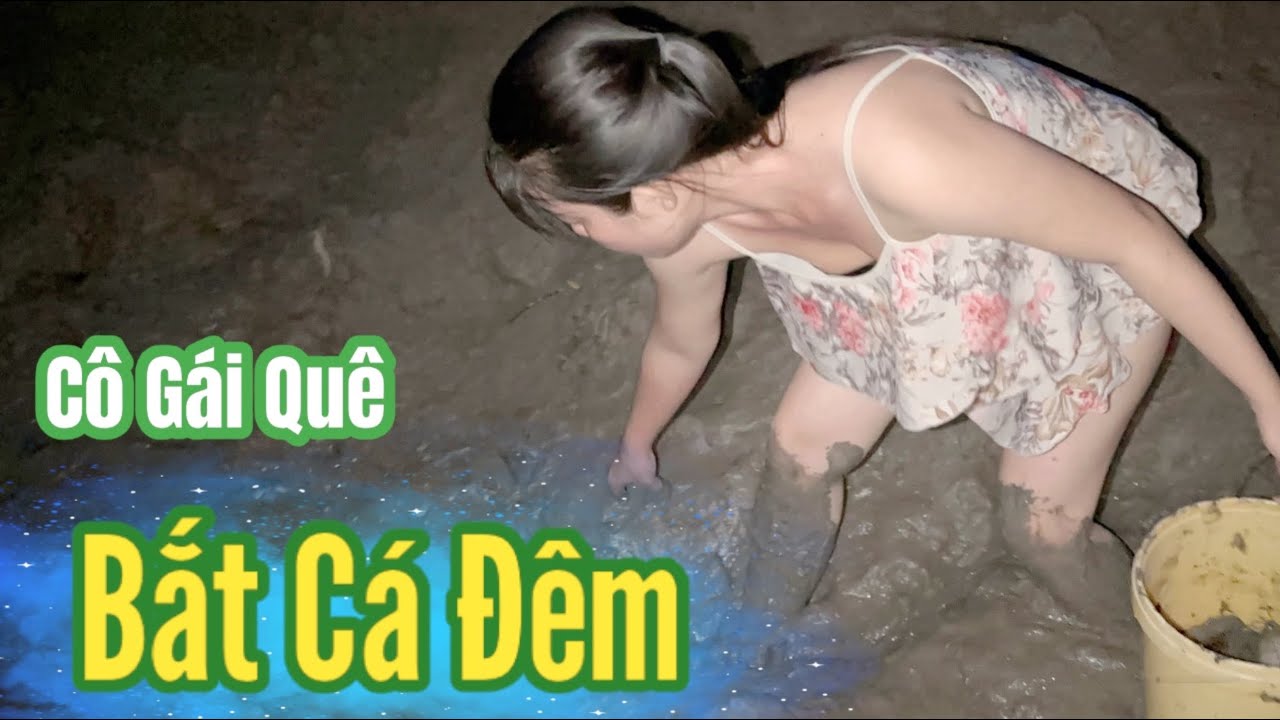 Phát Hiện Vũng Nước Cạn Cô Gái Quê Bắt Cá Luôn Trong Đêm