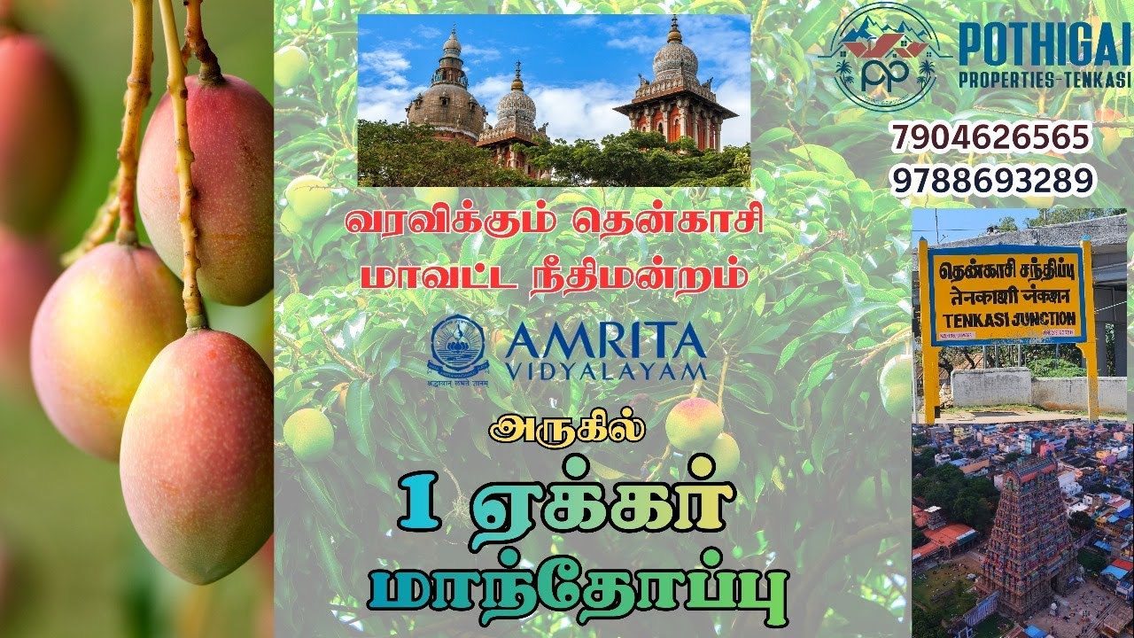 அமிர்தா ஸ்கூல் பின்புறம்|வரவிக்கும் மாவட்ட நீதிமன்றத்திற்கு மிகஅருகில்|1 ஏக்கர் செழிப்பான மாந்தோப்பு