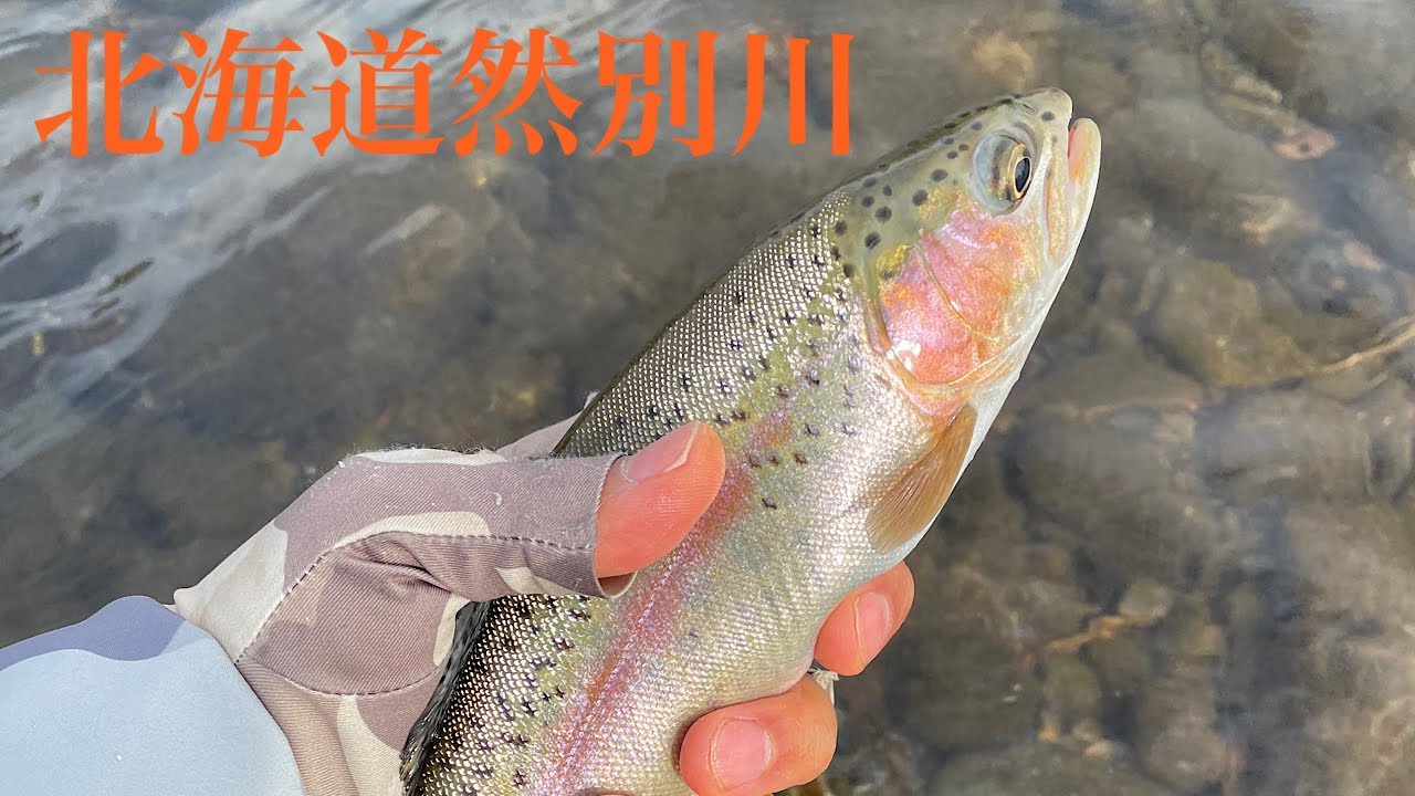 北海道然別川の出来事です！