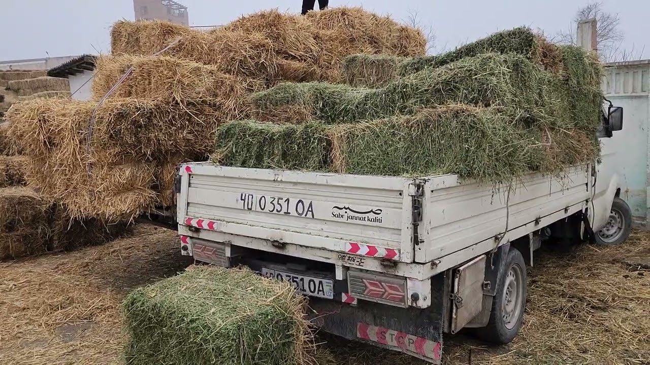 Фарғона Сомон Беда Похол ва бошқа пресс нархлари