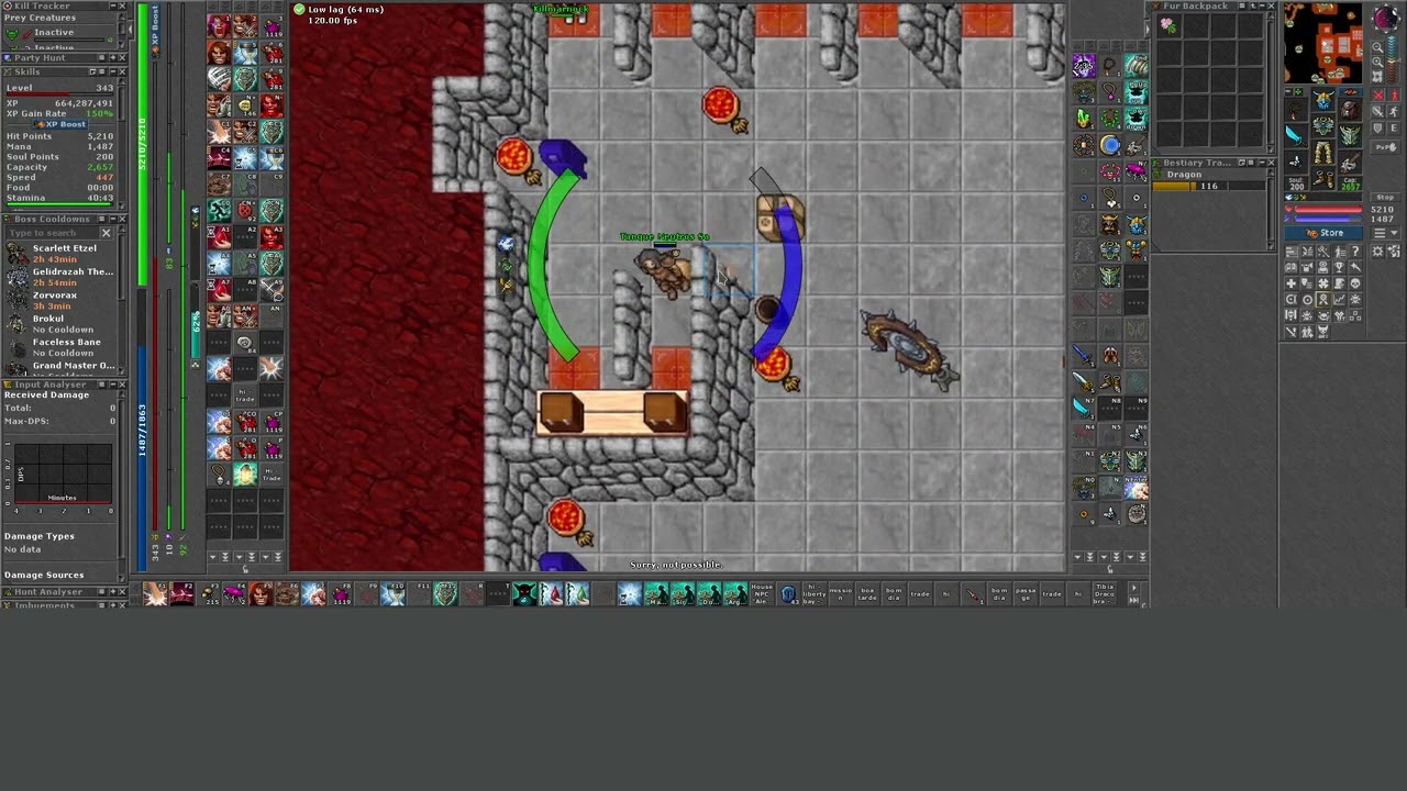 Tibia Dracobra -Grinvale Quest et al - 2026-01-25