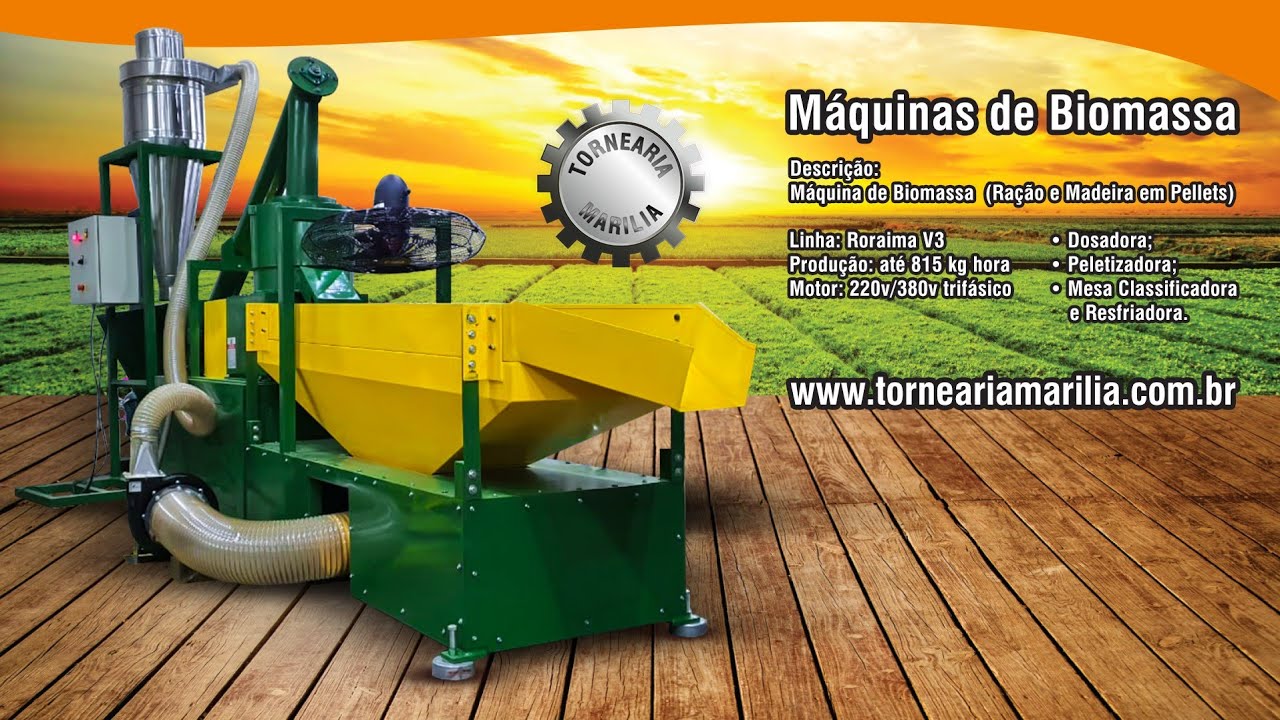 Fábrica de Eucaliptos em Pellets Roraima V3