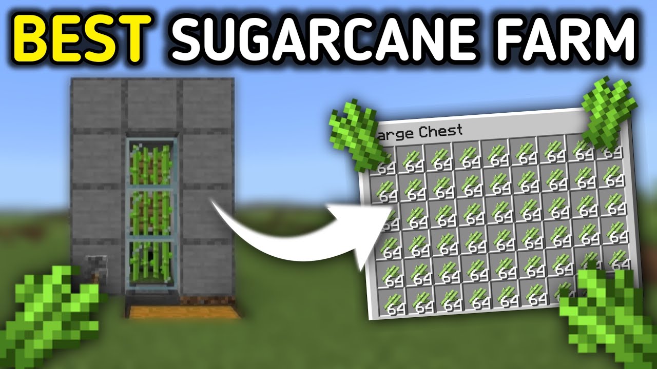 Minecraft Bedrock: EASY BEST Sugarcane Farm Tutorial in 1.21! (MCPE/X-BOX/PC/Nintendo Switch/PS5)