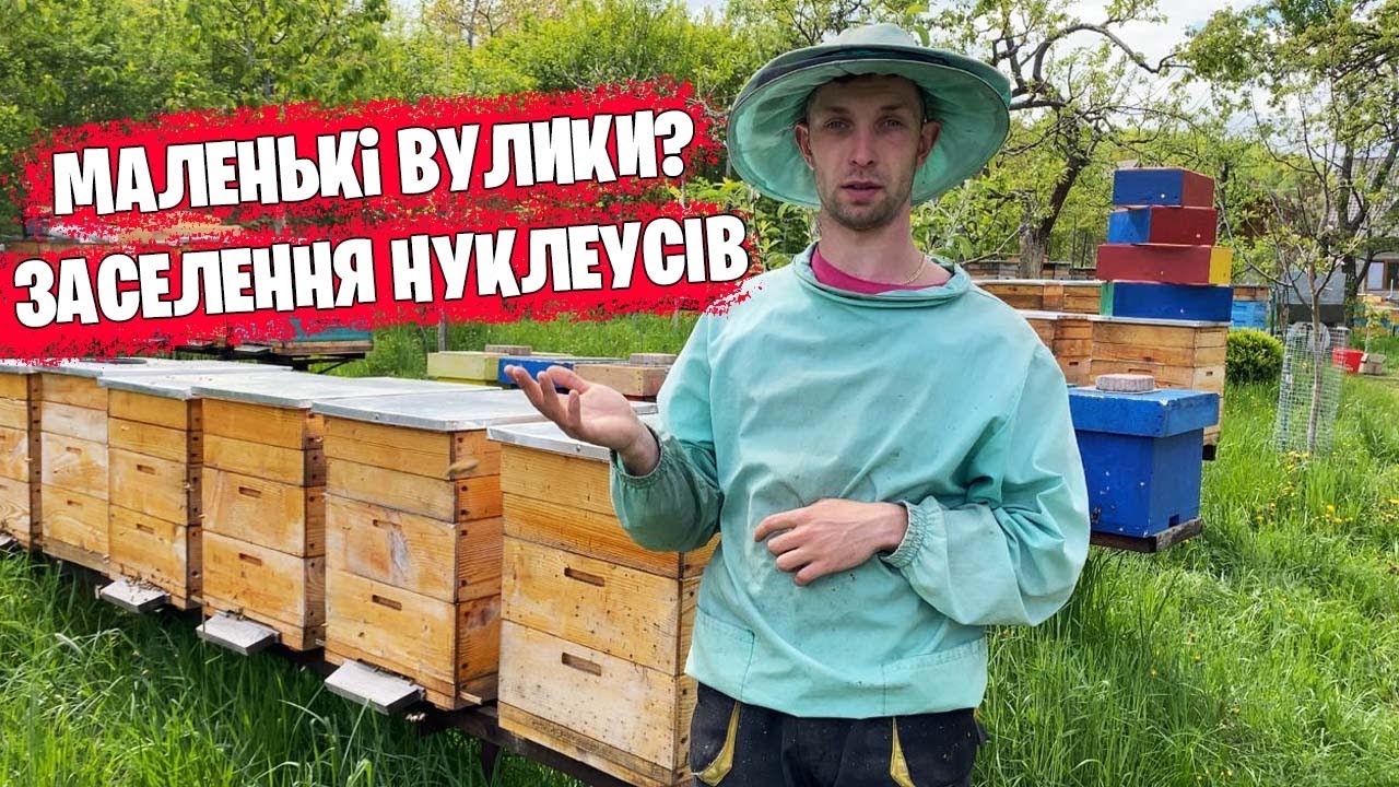 Все про МАЛЕНЬКІ ВУЛИКИ🐝 /  Підготвка до заселення нуклеусів