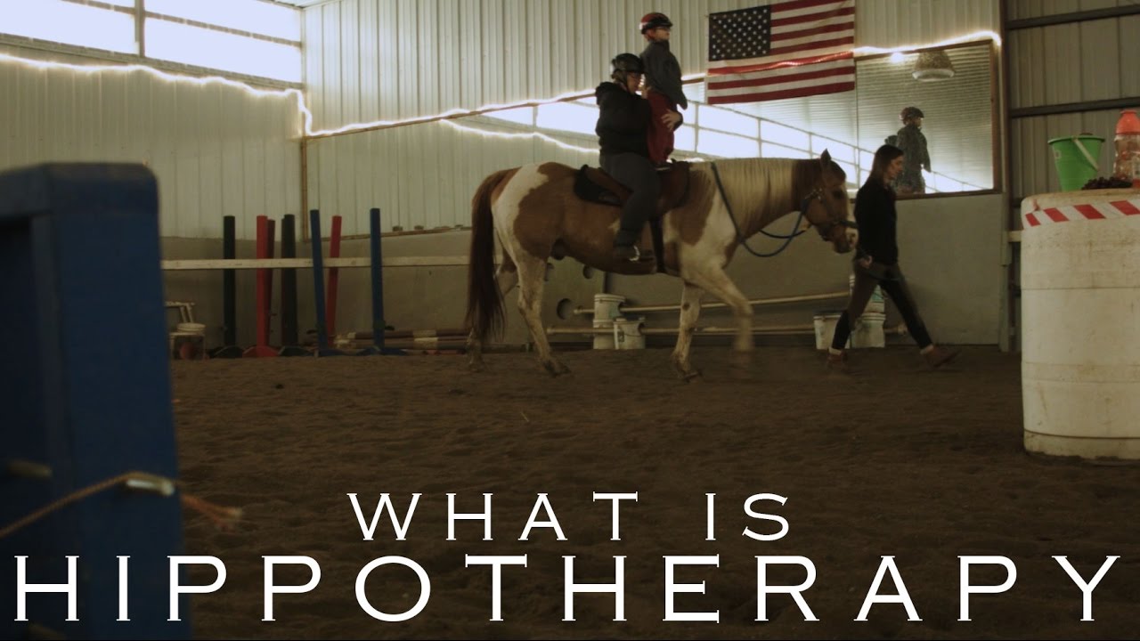 What is Hippotherapy?