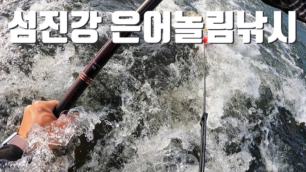 남도대교 은어와 30km를 거슬러 오른 압록 여울(하한산장) 은어