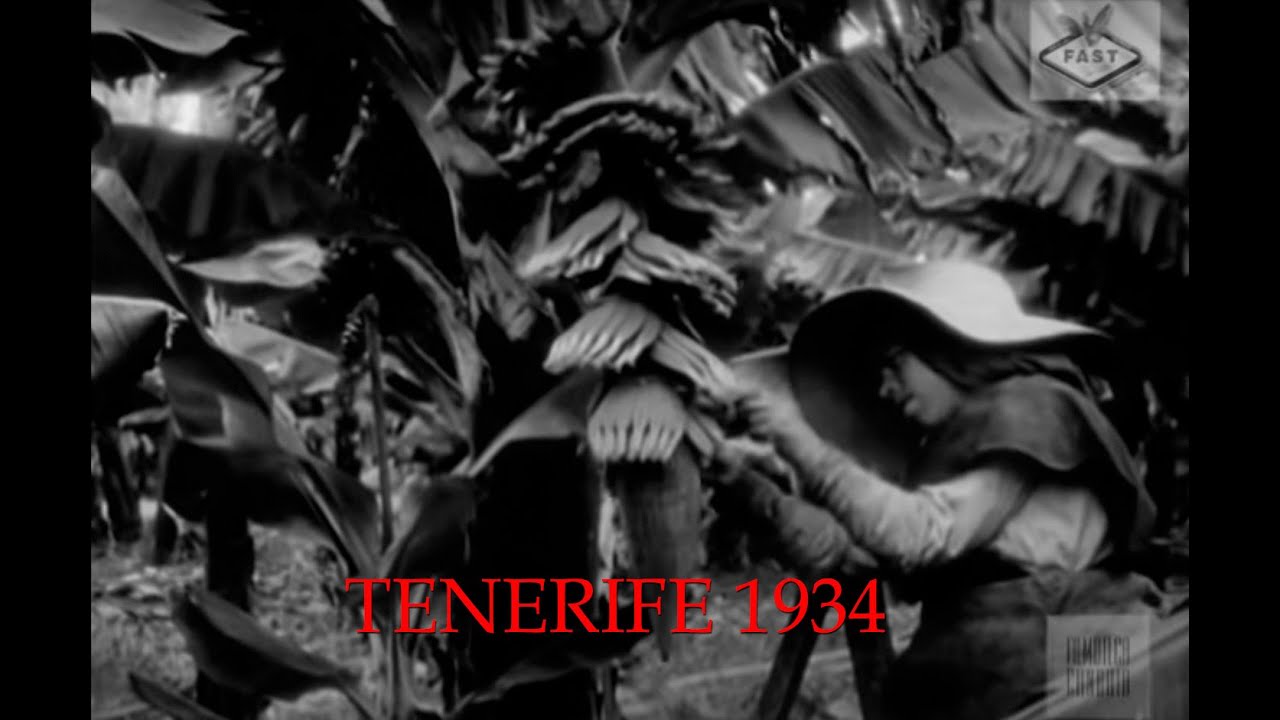 COPLACA TRANSMITE   DOCUMENTAL TENERIFE 1934   FILMOTECA CANARIA - LA FAST