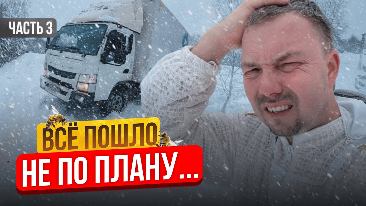 Сбежал с Офиса на Пасеку! Что из этого вышло? Строю Пасеку с Нуля | Серия 3