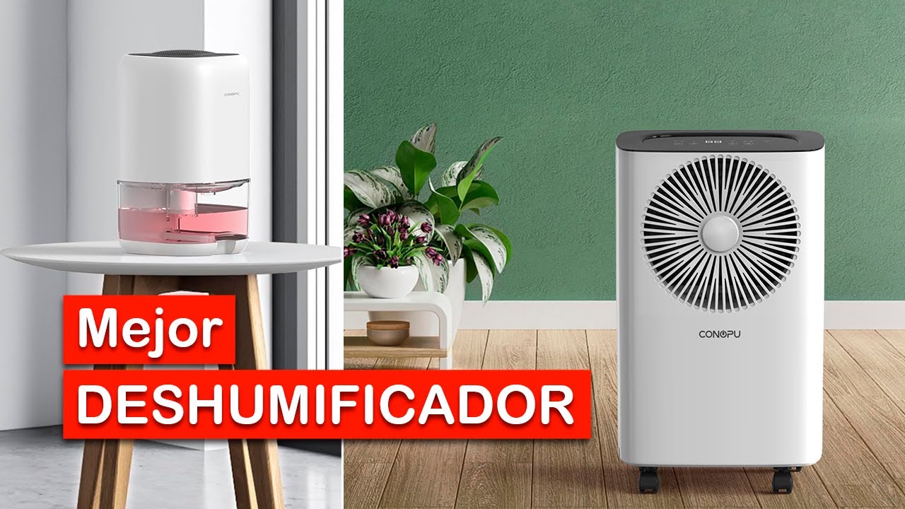 5 Mejores DESHUMIFICADORES 2024 Amazon ✅