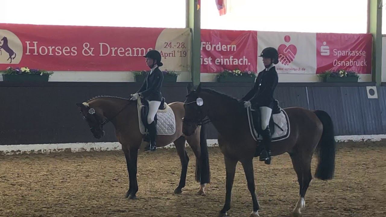 Dressur-WB (E 3) in Bad Essen am 7.4.2019