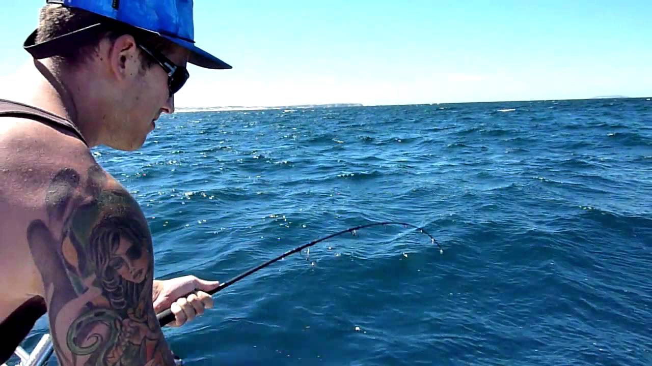 School Shark - South Australia Fishing