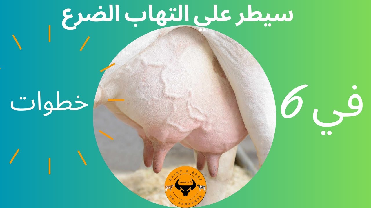 سيطر علي ,التهاب الضرع في الابقار والجاموس, في  ست خطوات