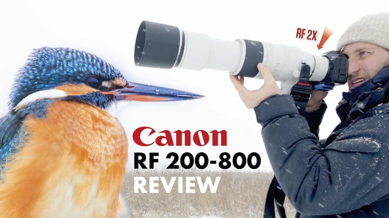 Canon RF 200-800 Praxis Test | Besser als Supertele?