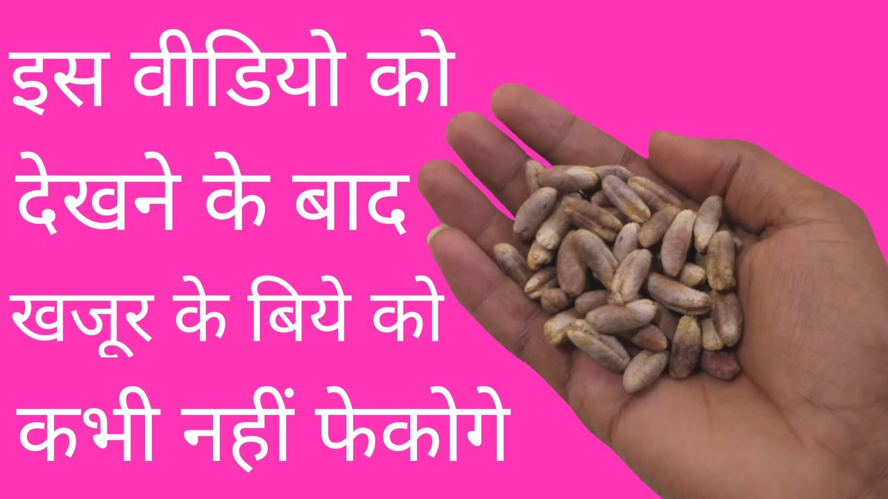 Best Out Of Waste Dates Seed | Amazing Craft From Date Seed | Dates Seed Craft