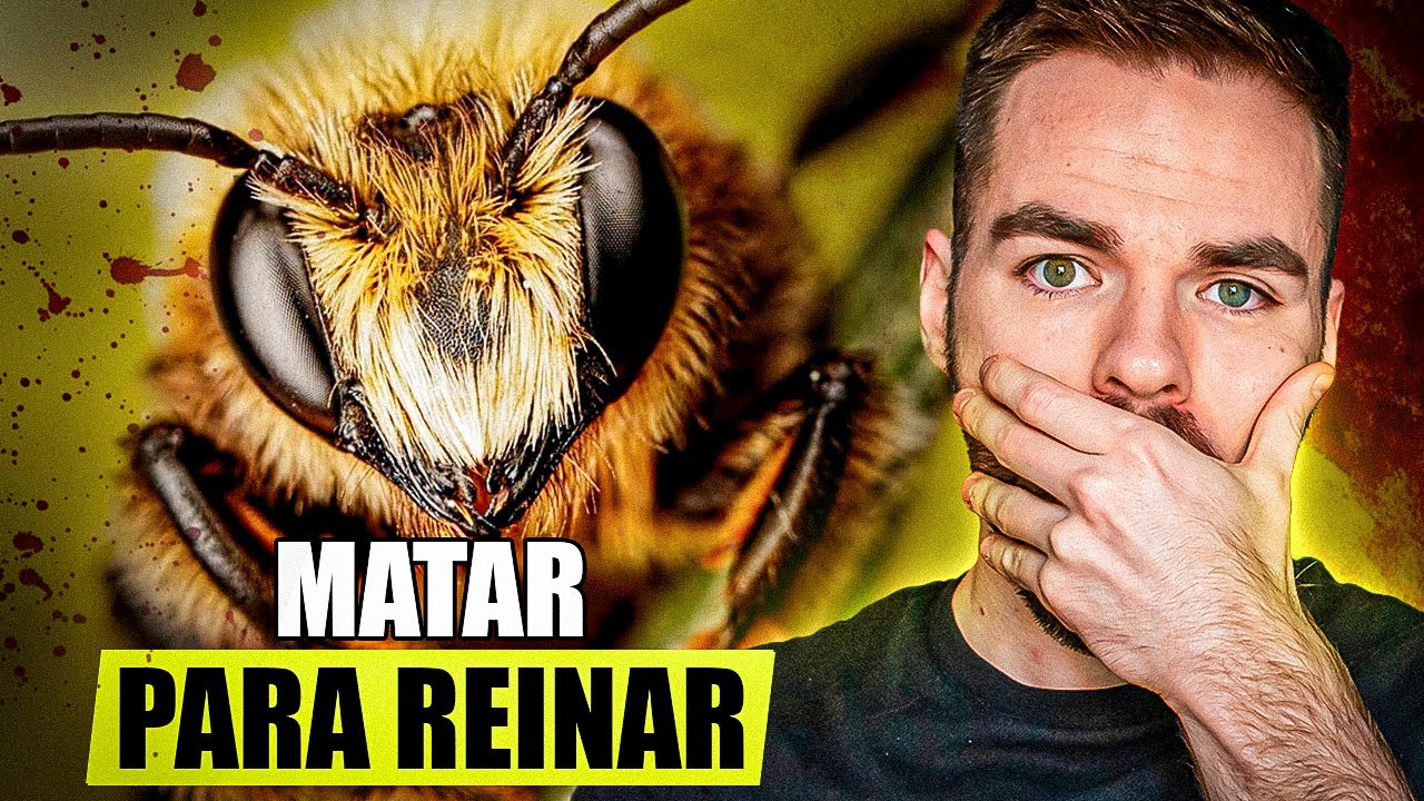 FEROMONAS Y ASESINATOS | As&iacute; se Corona una Reina de Abeja🐝 Ft. El electr&oacute;n perdido