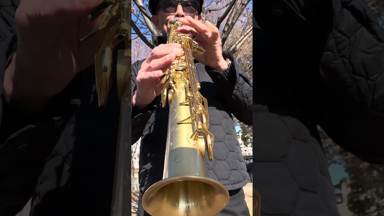 C’est Si Bon(It’s so good)no.206 #sax #music #france 