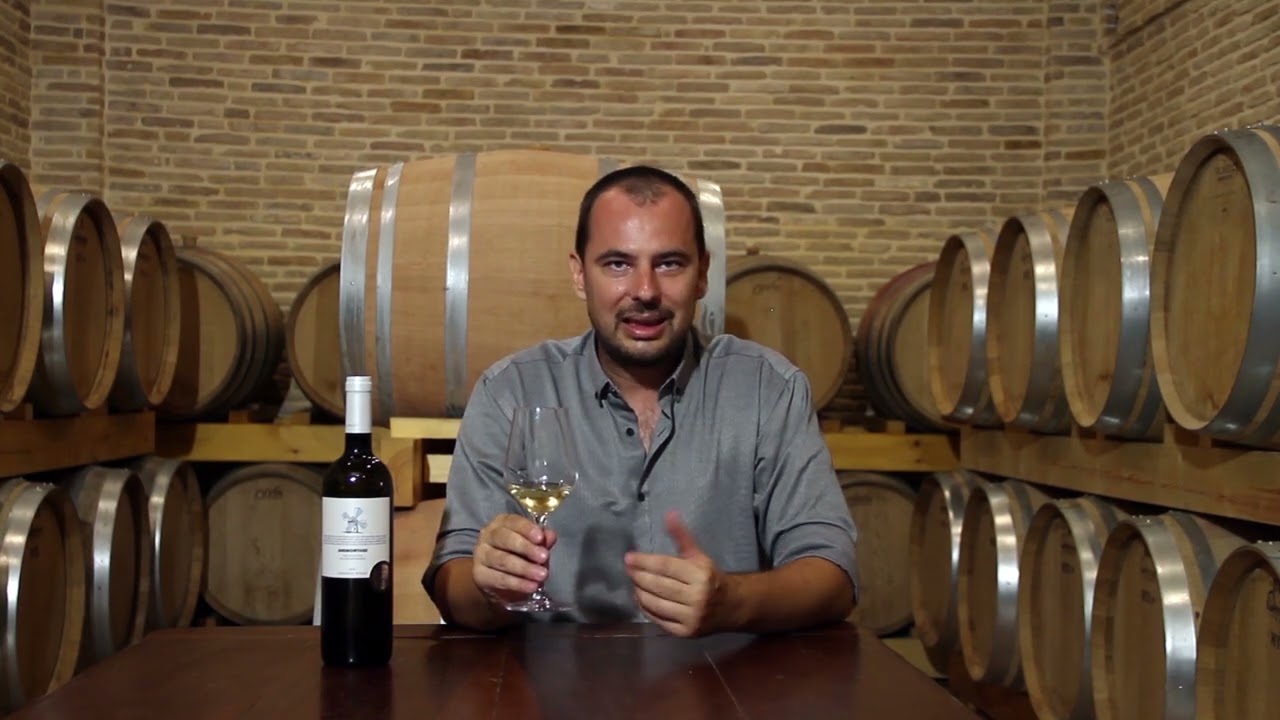 Malagouzia - Virtual Wine Tasting Giannikos Winery