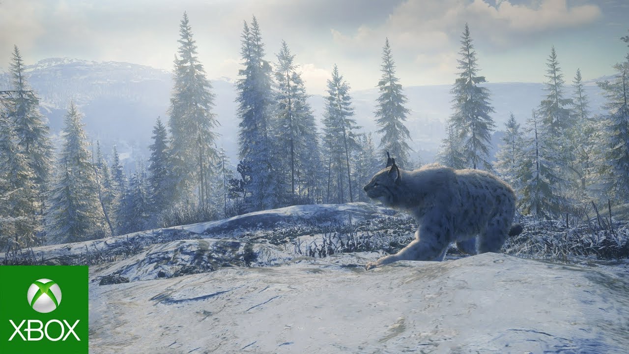 theHunter: Medved-Taiga National Park