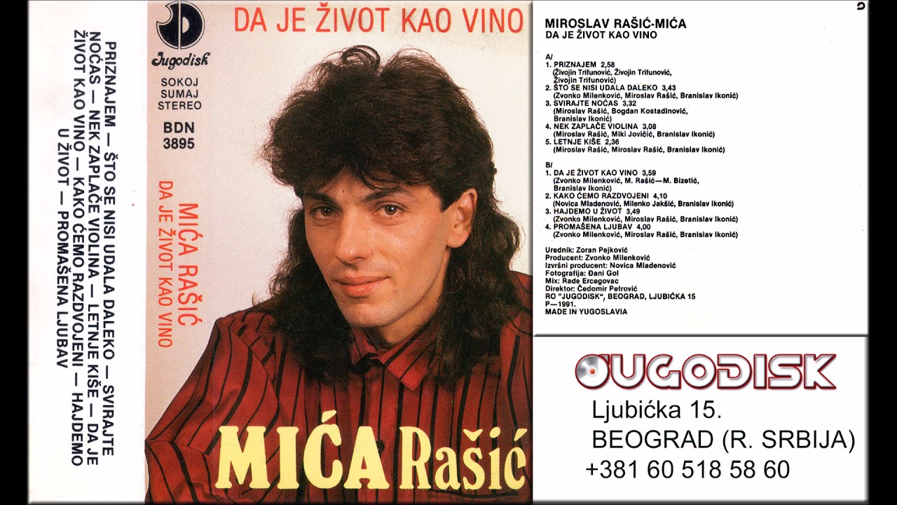 Miroslav Mica Rasic - Sto se nisi udala daleko - (Audio 1991)