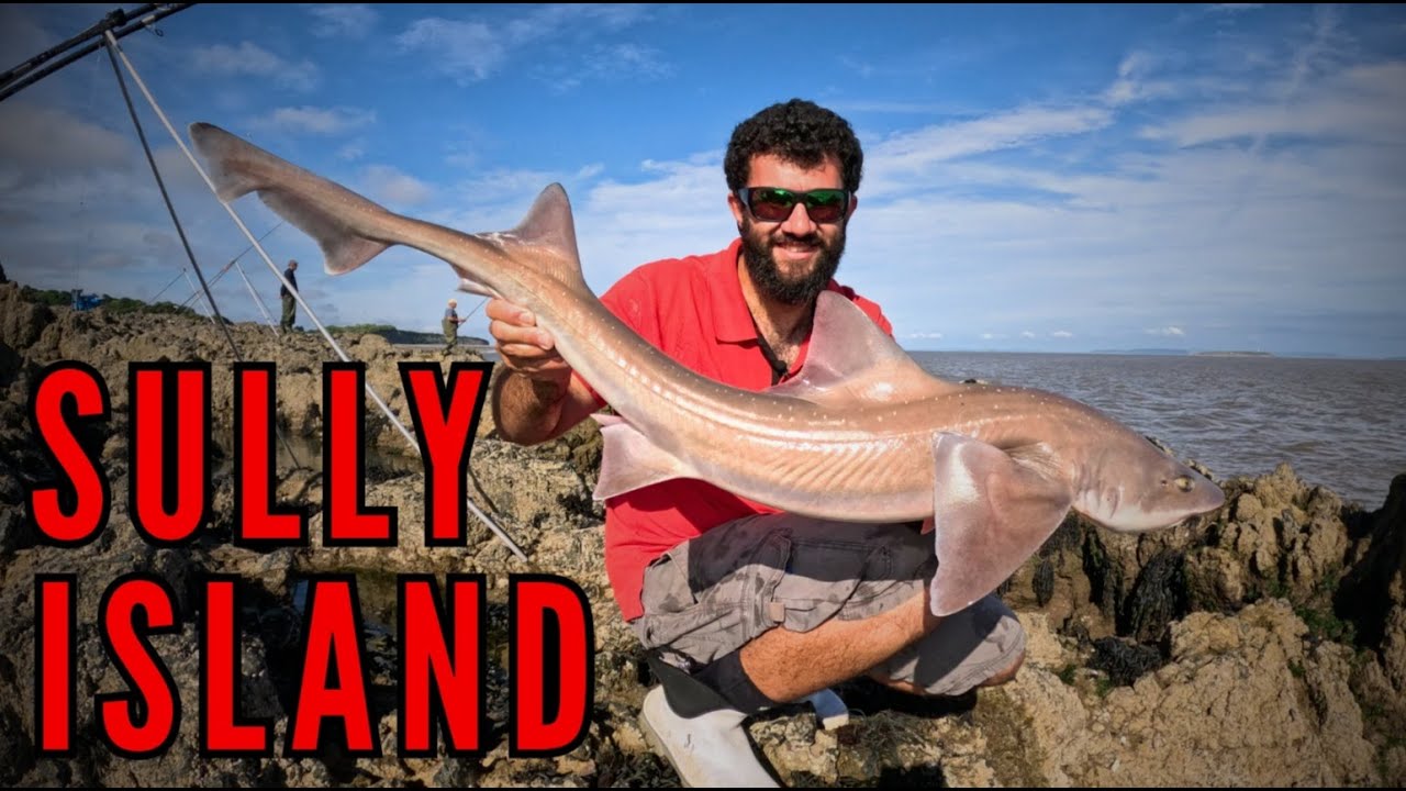 Fishing on Sully Island - Shore fishing South Wales