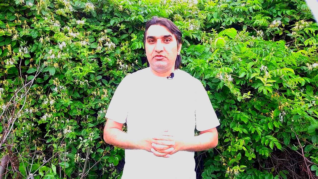 Səhm nədir? Səhmlərin qısa izahı