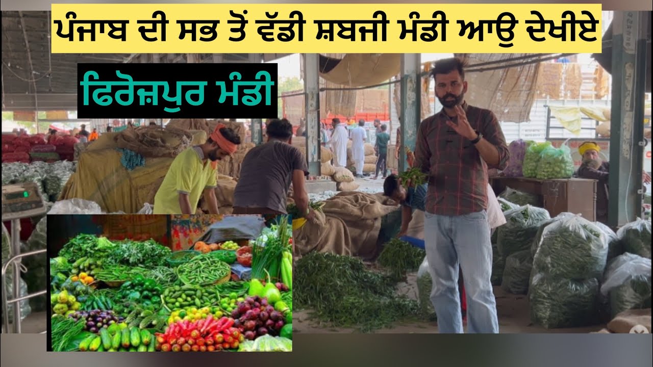ਪੰਜਾਬ ਦੀ ਮਸ਼ਹੂਰ ਸ਼ਬਜੀ ਮੰਡੀ ਫਿਰੋਜ਼ਪੁਰ// FIROZPUR Sabji Mandi rate today// #farming @Sahibsandhu5911
