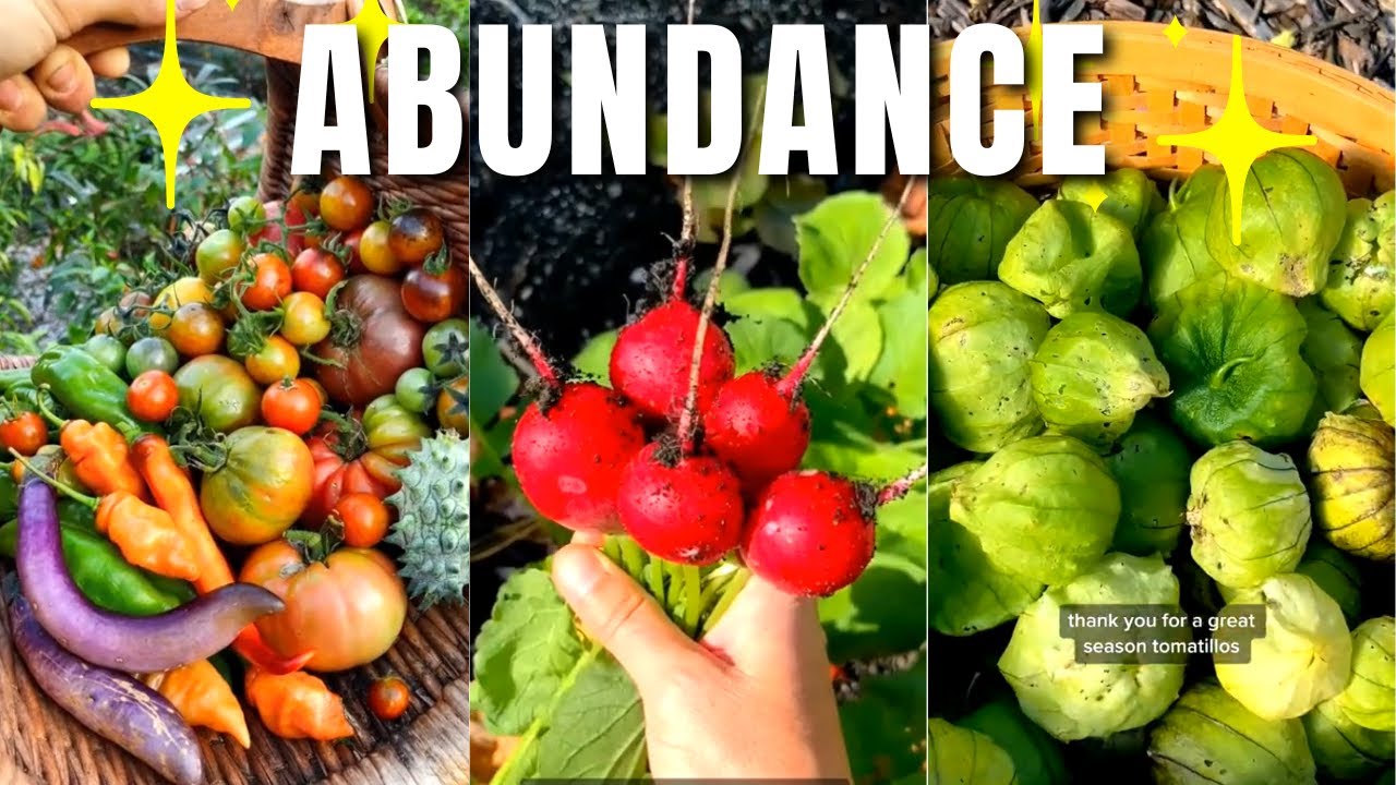 GARDEN Harvesting Compilation | November 2022 Part 2 - Compilation by Garden Therapy
