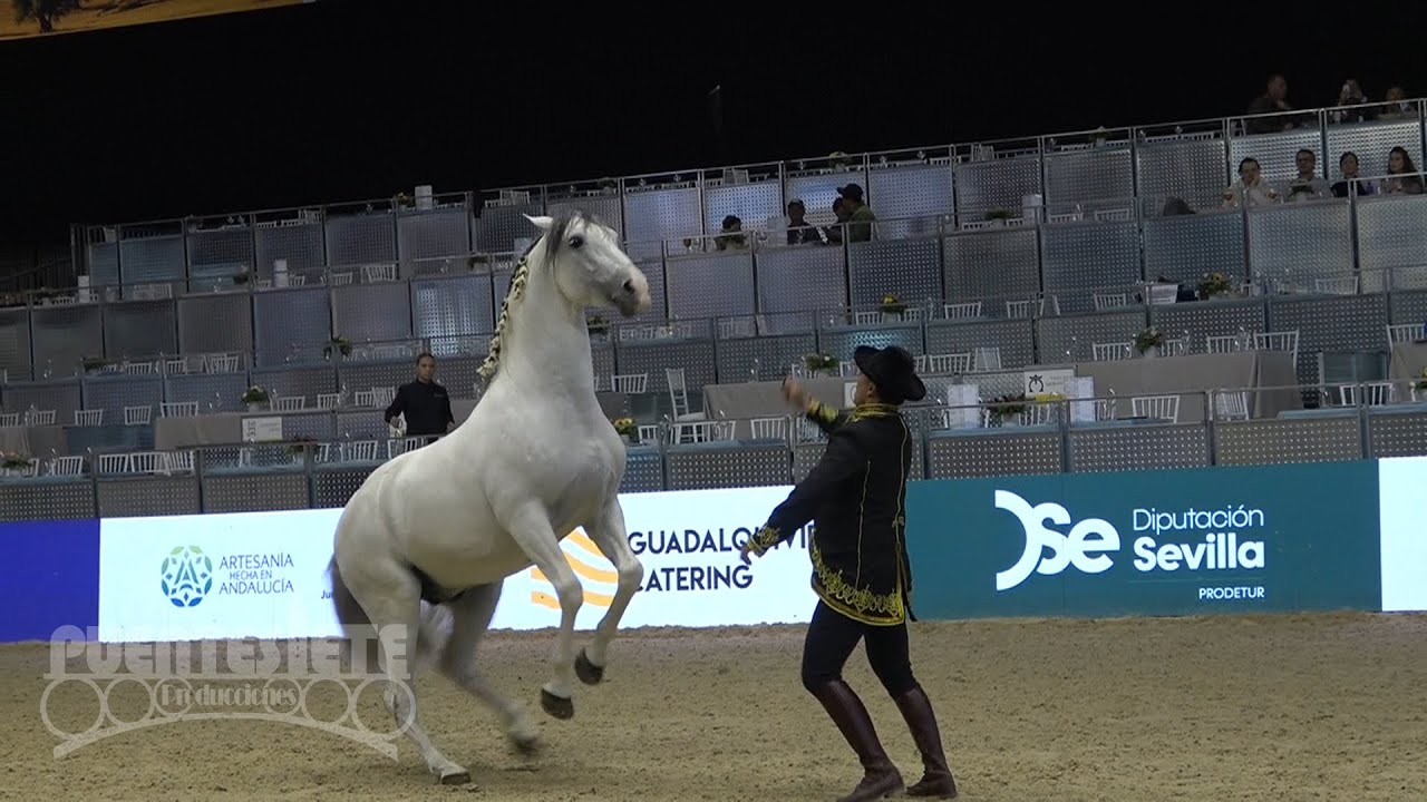 SICAB 2025. Concurso de Exhibiciones.