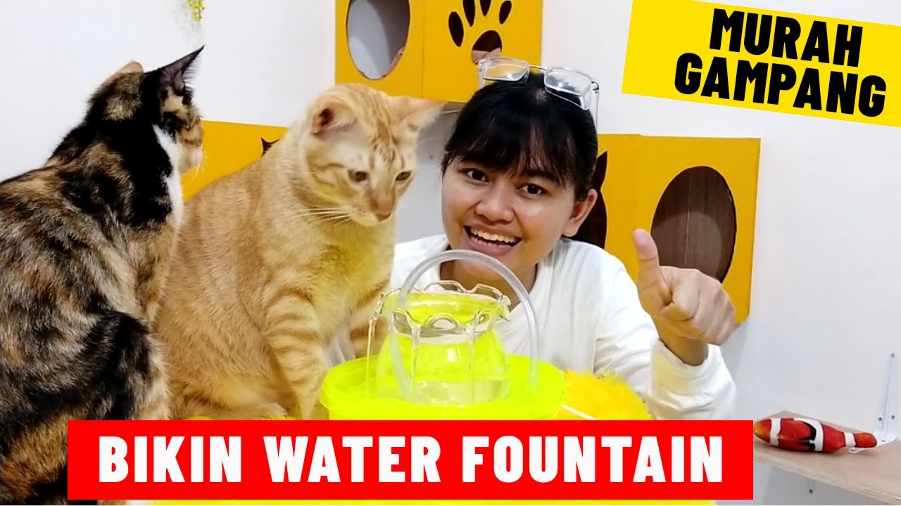 DIY WATER FOUNTAIN FOR CAT | MY CATS DIARY