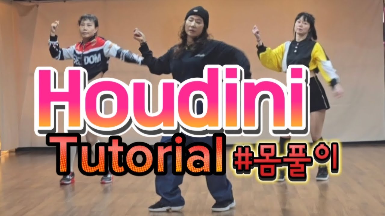 Houdini-dua lipa(두아리파) 튜토리얼(Tutorial)MIRRORED#AG창작댄스 #다이어트댄스(diet dance)#몸풀이댄스