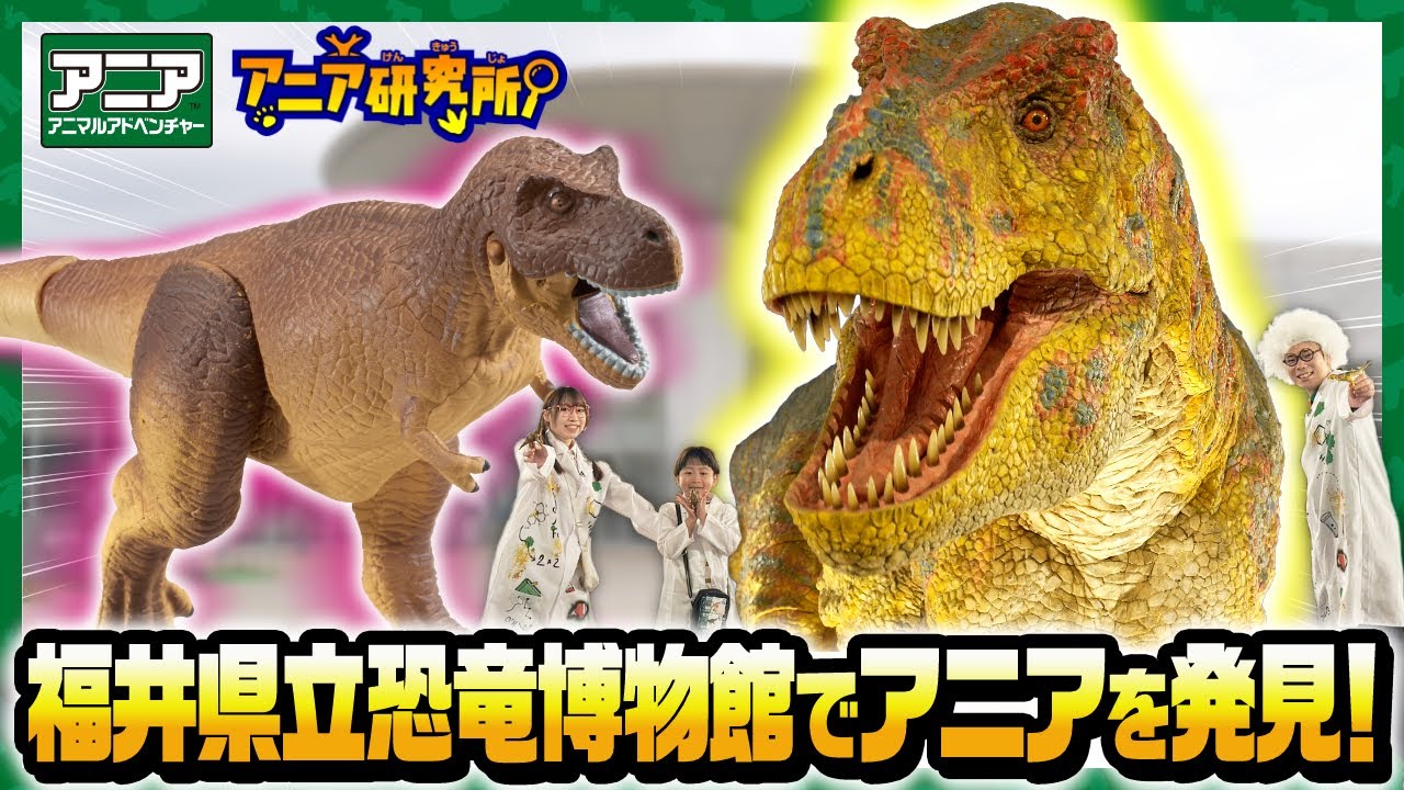 【アニア研究所 出張編！】恐竜の全身骨格が50体！？特別なアニアも登場！？キミも恐竜クイズにちょうせんだ！福井県立恐竜博物館で恐竜のひみつを教えちゃうぞ！【タカラトミー公式】
