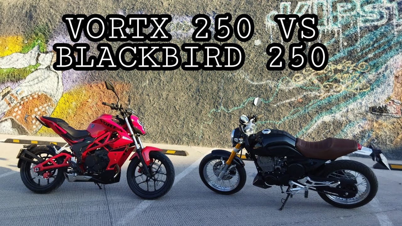 ITALIKA VORT-X 250 VS ITALIKA BLACKBIRD 250|DUELO DE GEMELAS CHINAS 😈🏍️ MIKE MP