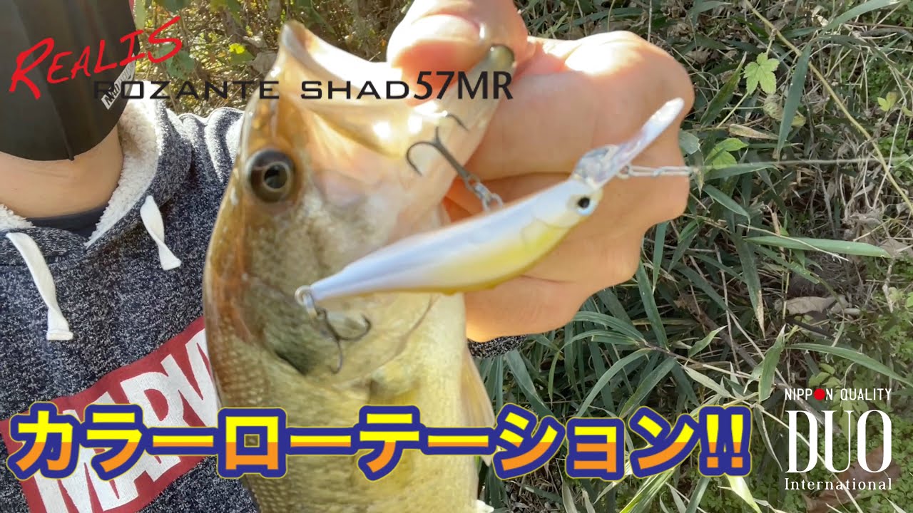 【ロザンテシャッド】カラーローテーションの大切さ！