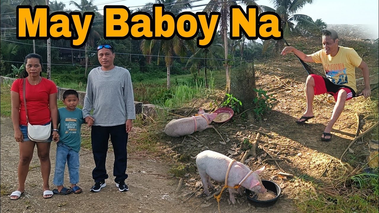 Roniel May Alagang Baboy @RaffyTulfoInAction
