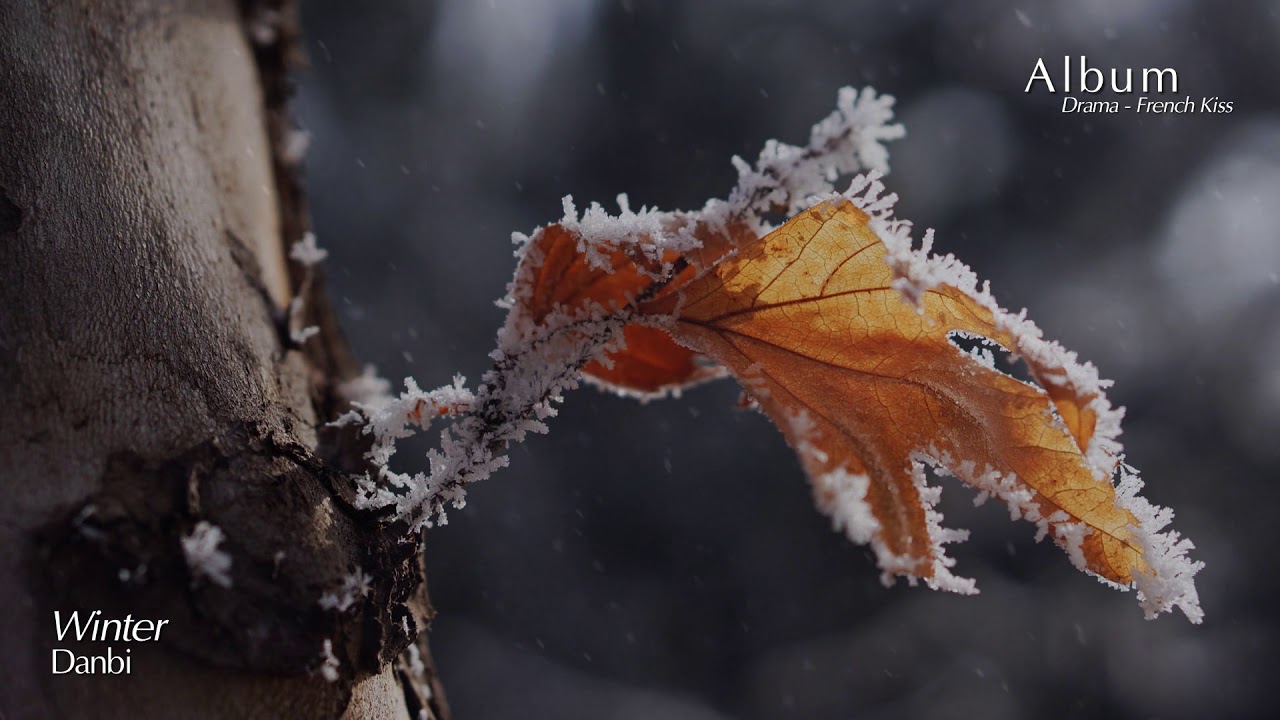Danbi - Winter | Emotional & Peaceful Piano Music