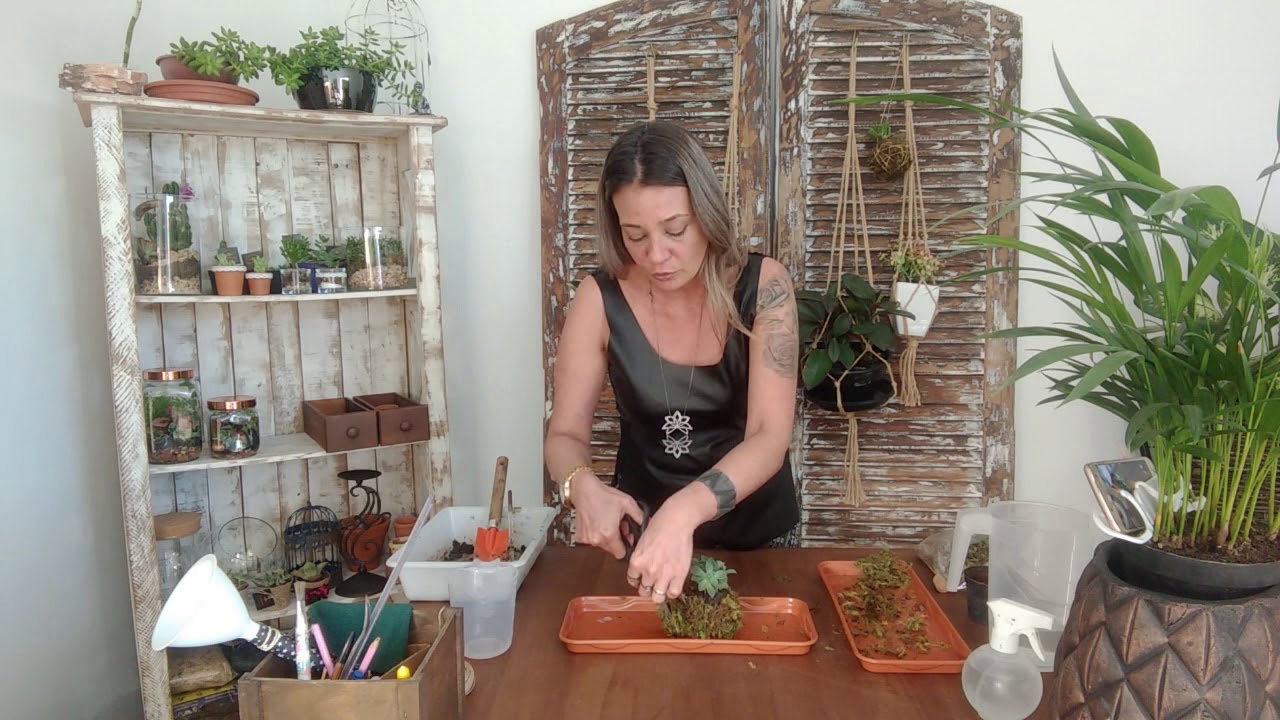 Como fazer LEMBRANCINHA de KOKEDAMA com Suculenta!